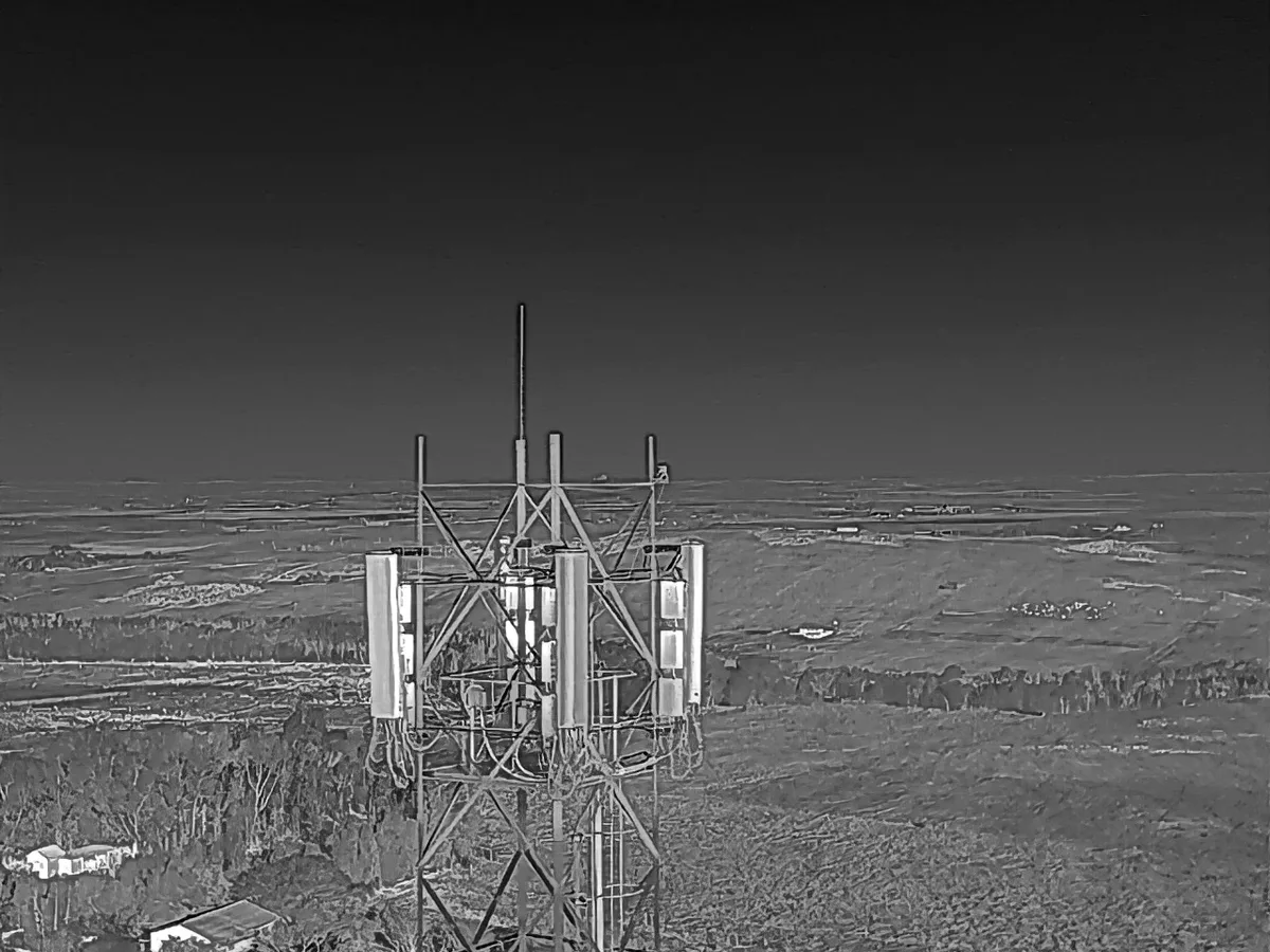 Thermal Imaging Scan